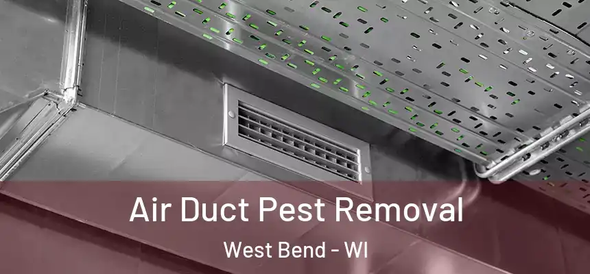  Air Duct Pest Removal West Bend - WI