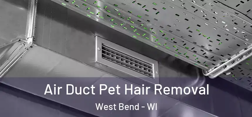  Air Duct Pet Hair Removal West Bend - WI
