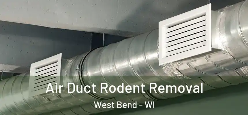 Air Duct Rodent Removal West Bend - WI