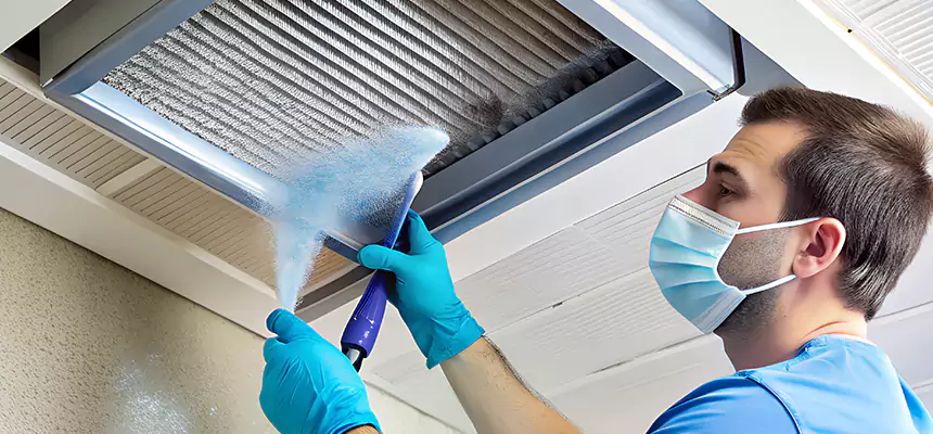 Proactive Dryer Vent & Auxiliary Duct Pollen Cleanup in West Bend, WI
