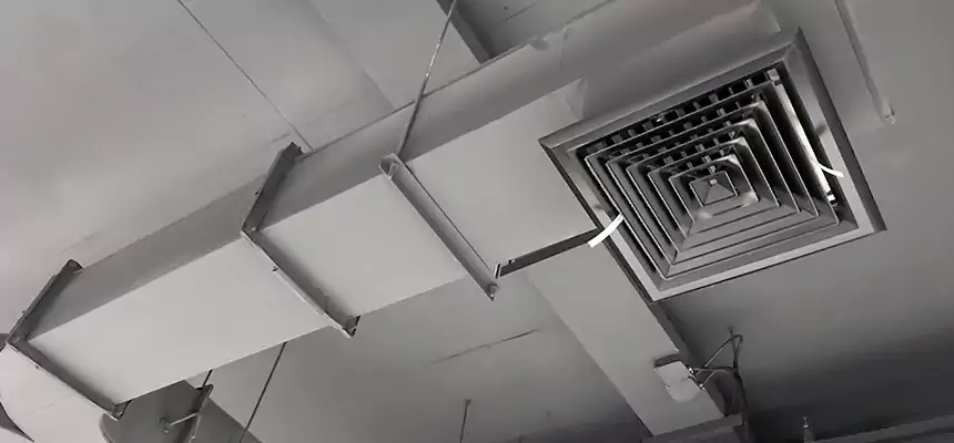 Restorative Allergy Relief Vent Cleaning – Coil, Blower & Housing Detail in West Bend