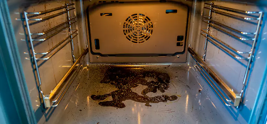 Our Dryer Vent Mold Cleaning Services in West Bend, WI