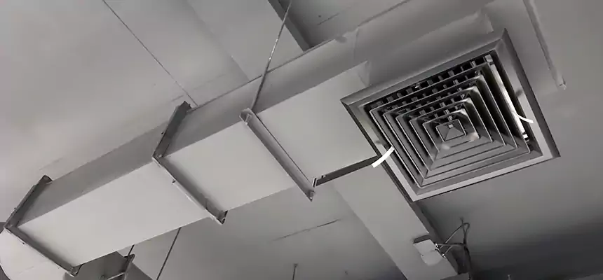 Our Pest Removal From Ducts Services in West Bend, WI