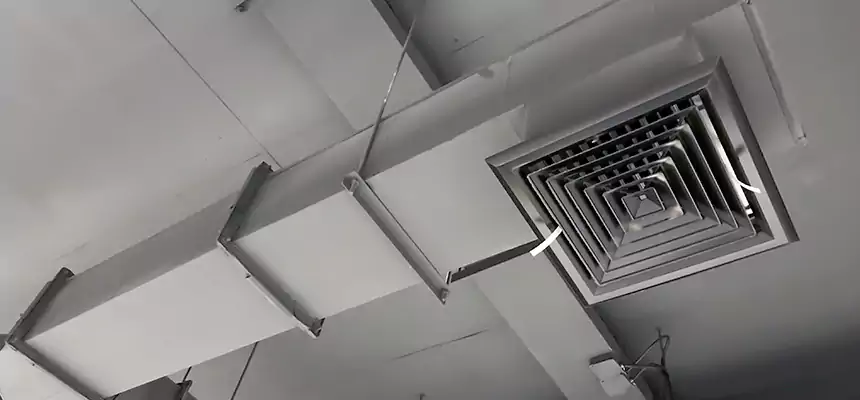 Our Rodent Droppings In Vents Services in West Bend, WI