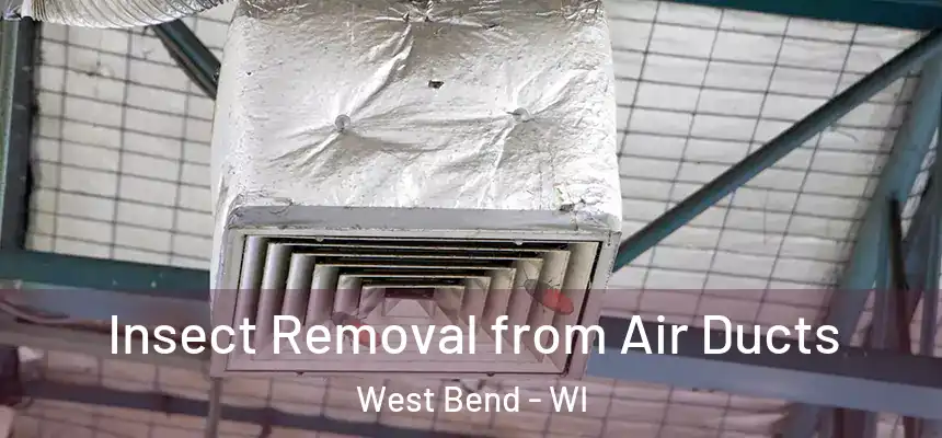  Insect Removal from Air Ducts West Bend - WI