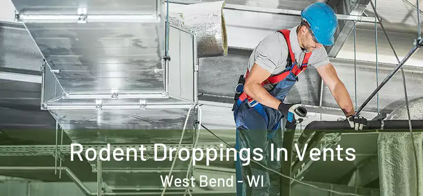  Rodent Droppings In Vents West Bend - WI