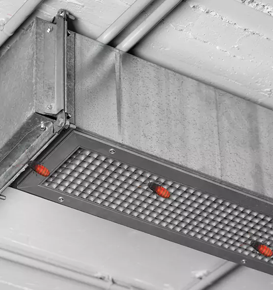 About Air Duct Cockroach Removal in West Bend, WI